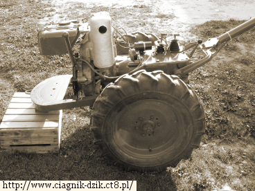 Dzik-2 1968