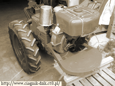 Dzik-2 1968