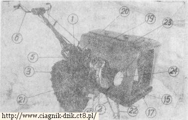 Dzik-21 WUKO